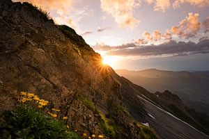 Coucher de soleil