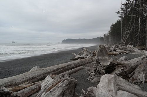 Dramatisch landschap aan de westkust van Amerika. 