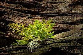 Naviguer sur le rocher sur Art By Light Photography