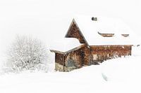 Snowfall in the Alps