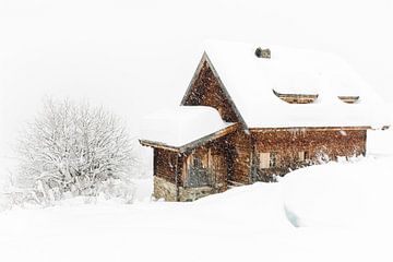 Sneeuwval in de Alpen van Lynxs Photography