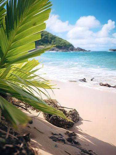 Under palm trees V2