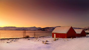 Winter avondstemming in Noorwegen