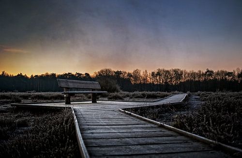 Zitbank op houten vlonder voetpad