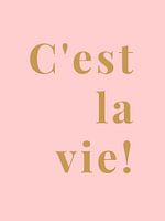 C'est la vie!