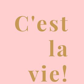 C'est la vie! by MarcoZoutmanDesign