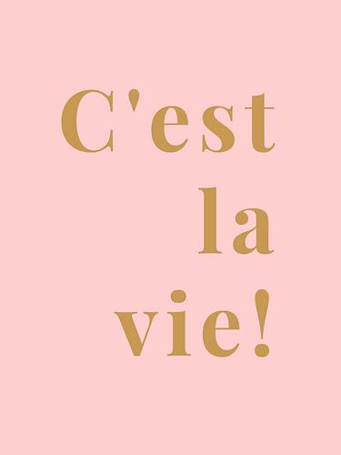 C'est la vie! by MarcoZoutmanDesign