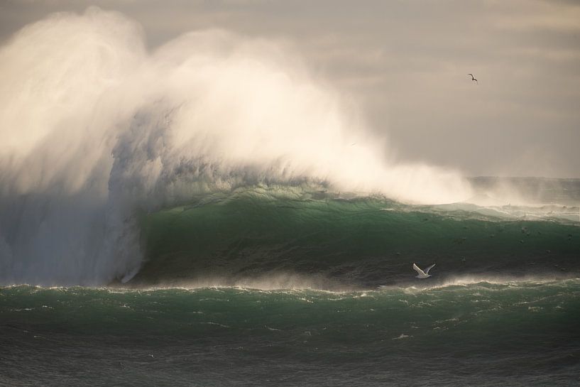 The Gulf by Petra vd Berg