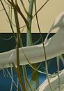 Branches with snow by Nop Briex thumbnail