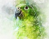 Aquarell vom grünen Papagei von Elles Rijsdijk Miniaturansicht