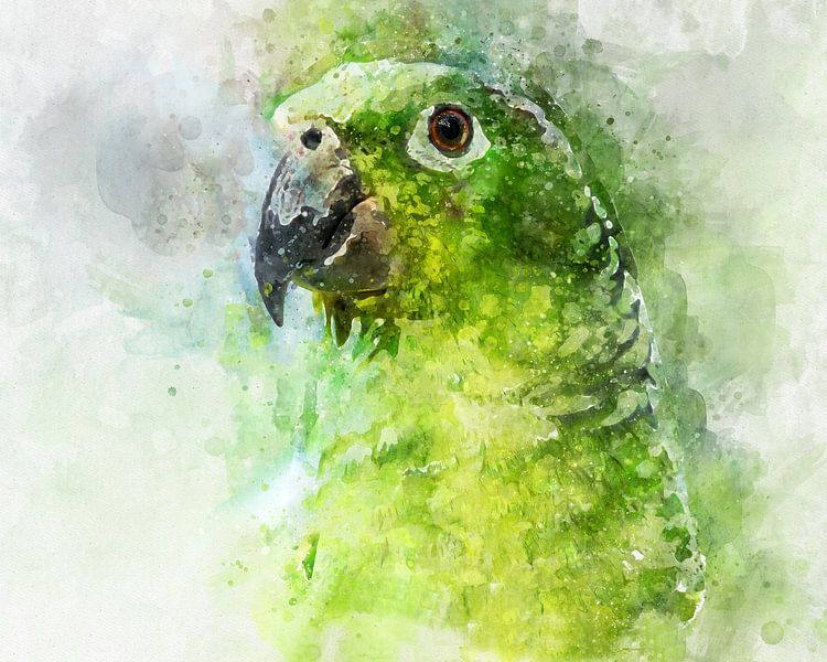 Aquarel van  groene papegaai van Elles Rijsdijk