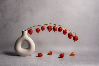 Modern stilleven met een tak lampionnen in een donutvaas