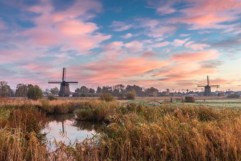 Plenty of colour in the Oudorperpolder by jaapFoto