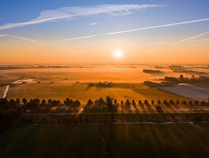 Lever de soleil sur le Lekdijk - Matinée brumeuse avec lumière du soleil à travers les arbres par Stefano Scoop