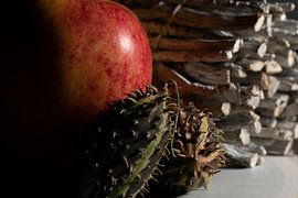 Appel stilleven by Richard Booij