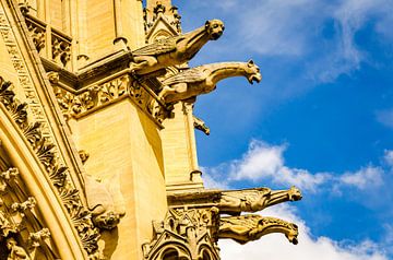 Gargoyle on the facade of the Gothic cathedral in Metz France by Dieter Walther