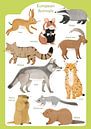 Animals of Europe by Judith Loske thumbnail