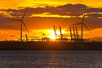 Sonnenuntergang zwischen den Windkraftanlagen auf der Maasvlakte Rotterdam
