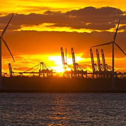 Havens van Rotterdam