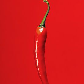 Rote Paprika auf rotem Hintergrund von Edith Keijzer