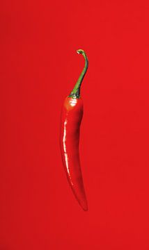 Red pepper on red background by Edith Keijzer