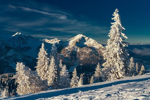 Winter landscape in the Tannheimer Tal from Pirschling with view of Wannenjoch