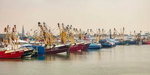 Vissersschepen in de haven van Harlingen van Frans Lemmens
