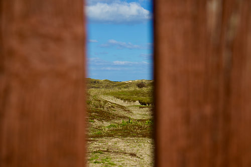 The dunes near The Hague and Scheveningen