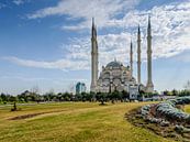 De Sabanci moskee (Sabanci Merkez Camii) in Adana, Turkije  van Martin Stevens thumbnail