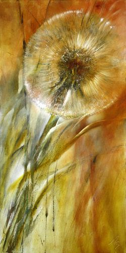 Dandelion by Annette Schmucker