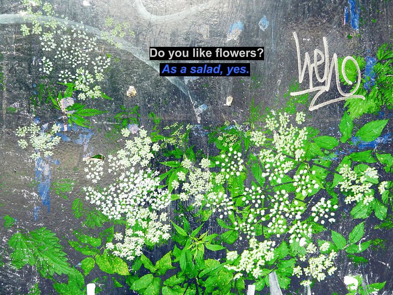 Small Talk: Do You Like Flowers? van MoArt (Maurice Heuts)