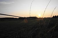 Golden thread in black and white - evening light across the meadow