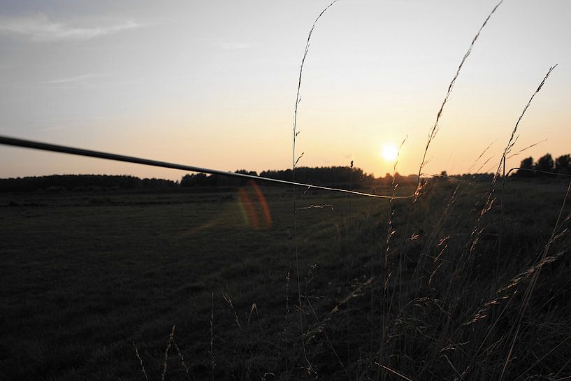 Golden thread in black and white - evening light across the meadow by Masterpiece Living