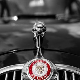 The Old Jaguar Emblem by Jadian Kerkhoven