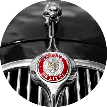 The Old Jaguar Emblem van Jadian Kerkhoven