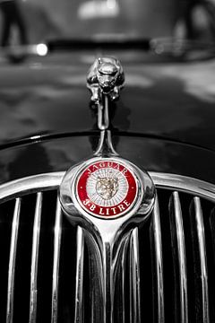 Das alte Jaguar-Emblem von Jadian Kerkhoven