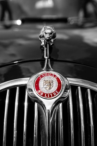 The Old Jaguar Emblem