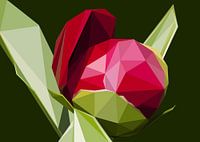 Flower Peony Abstract Low Poly