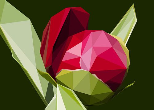 Bloem Pioen Abstract Low Poly