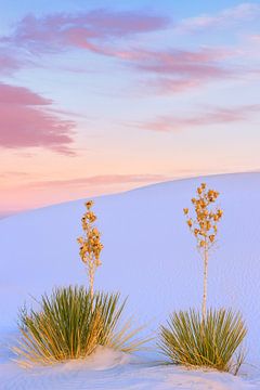 White Sands National Monument, New Mexico, USA van Henk Meijer Photography
