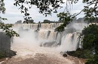 Iguazu watervallen (1) van Jolanda van Eek en Ron de Jong thumbnail
