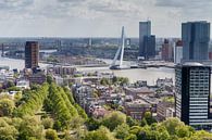 Pont Erasmus par Menno Schaefer Aperçu