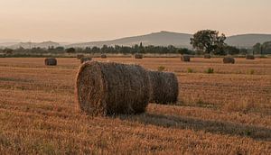 Hooibaal in zonsondergang in Toscane van Erik van 't Hof