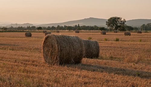 Hooibaal in zonsondergang in Toscane