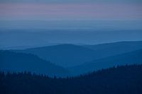 Silhouettes in the Vosges