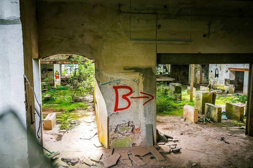 Die Natur erobert sich zurück - eine überwucherte Industrieruine von InfiniteArtLabs