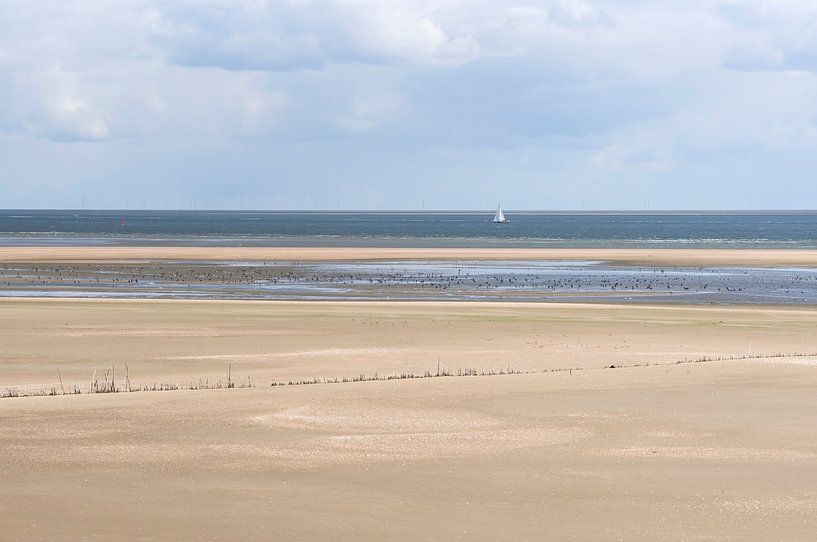Sailing home (minimalistische weergave van een zeilboot op de waddenzee en diverse, mooi gekleurde lagen). van Birgitte Bergman