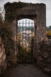 Die Schlosstür von Femke Hospers