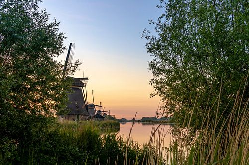 De windmolens in Kinderdijk.