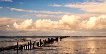 Schilderachtig uitzicht over het wad van Wijnand Medendorp